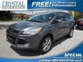 Ford Escape SEL 1.6L EcoBoost Sterling Gray Metallic photo #1