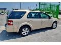 Ford Freestyle Limited Dune Pearl Metallic photo #36
