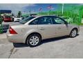 Ford Five Hundred SEL Pueblo Gold Metallic photo #33