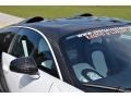 Bugatti Veyron 16.4 Mansory Linea Vivere Pearl Metallic photo #42