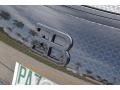 Bugatti Veyron 16.4 Mansory Linea Vivere Pearl Metallic photo #49