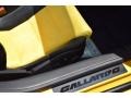 Lamborghini Gallardo LP 550-2 Spyder Giallo Midas Pearl Effect photo #43
