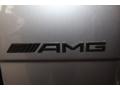 Mercedes-Benz G 63 AMG Paladium Silver Metallic photo #31