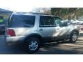 Ford Expedition XLT Silver Birch Metallic photo #3