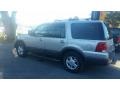Ford Expedition XLT Silver Birch Metallic photo #7