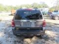 Ford Escape Limited Sterling Gray Metallic photo #12