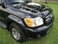 Toyota Sequoia Limited 4WD Black photo #23