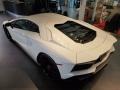 Lamborghini Aventador S Bianco Isis photo #9