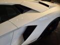 Lamborghini Aventador S Bianco Isis photo #21