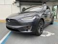 Tesla Model X 100D Midnight Silver Metallic photo #4