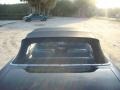 Ford Mustang Convertible Nightmist Blue photo #35