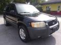 Ford Escape XLT V6 Black Clearcoat photo #1