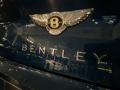 Bentley Continental GT  Marlin Metallic photo #17