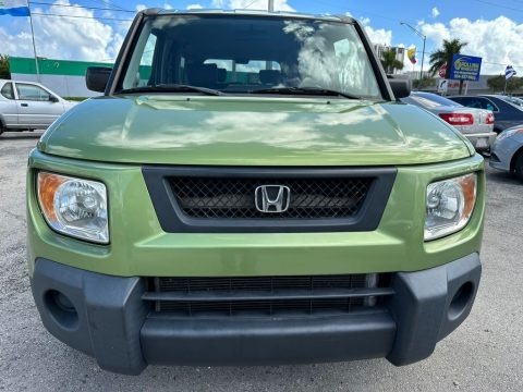Kiwi Metallic 2006 Honda Element EX-P