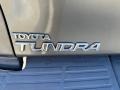 Toyota Tundra SR5 Access Cab Phantom Gray Pearl photo #15