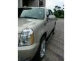 Cadillac Escalade EXT AWD Gold Mist photo #5 Cadillac Escalade EXT AWD Gold Mist photo #5