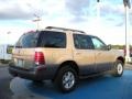 Mercury Mountaineer V6 AWD Light French Silk Metallic photo #5 Mercury Mountaineer V6 AWD Light French Silk Metallic photo #5