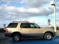 Mercury Mountaineer V6 AWD Light French Silk Metallic photo #6 Mercury Mountaineer V6 AWD Light French Silk Metallic photo #6