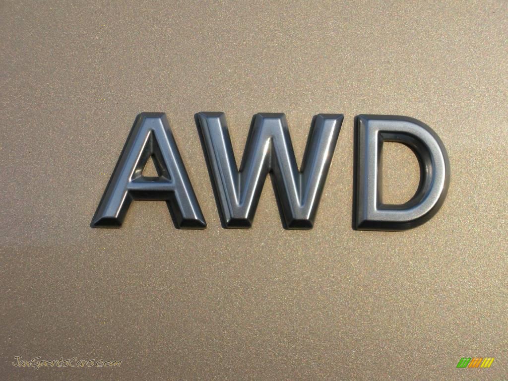 2005 Mountaineer V6 AWD - Light French Silk Metallic / Medium Dark Parchment photo #10