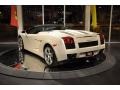 Lamborghini Gallardo Spyder Balloon White photo #4 Lamborghini Gallardo Spyder Balloon White photo #4