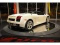 Lamborghini Gallardo Spyder Balloon White photo #6 Lamborghini Gallardo Spyder Balloon White photo #6