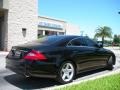 Mercedes-Benz CLS 550 Black photo #6