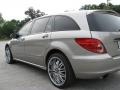 Mercedes-Benz R 350 4Matic Desert Silver Metallic photo #9 Mercedes-Benz R 350 4Matic Desert Silver Metallic photo #9