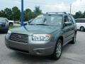 Subaru Forester 2.5 X L.L.Bean Edition Evergreen Metallic photo #1