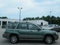 Subaru Forester 2.5 X L.L.Bean Edition Evergreen Metallic photo #6 Subaru Forester 2.5 X L.L.Bean Edition Evergreen Metallic photo #6
