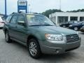 Subaru Forester 2.5 X L.L.Bean Edition Evergreen Metallic photo #7 Subaru Forester 2.5 X L.L.Bean Edition Evergreen Metallic photo #7