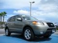 Hyundai Santa Fe SE 4WD Natural Khaki photo #7 Hyundai Santa Fe SE 4WD Natural Khaki photo #7
