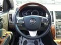 Cadillac STS V6 Premium Black Raven photo #6