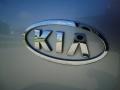 Kia Spectra Sedan Silver photo #11