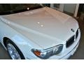 BMW 7 Series 745Li Sedan Alpine White photo #25 BMW 7 Series 745Li Sedan Alpine White photo #25