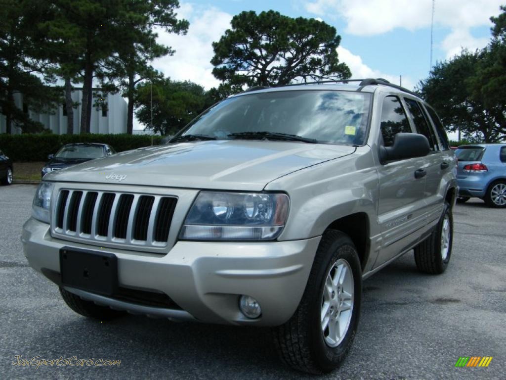 Graphite Metallic / Dark Slate Gray Jeep Grand Cherokee Laredo Graphite Metallic / Dark Slate Gray Jeep Grand Cherokee Laredo