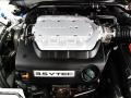 Honda Accord EX-L V6 Coupe Taffeta White photo #8