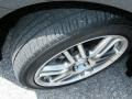 Scion tC  Flint Mica photo #12