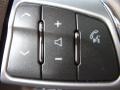 Cadillac STS V6 Luxury Radiant Silver photo #8 Cadillac STS V6 Luxury Radiant Silver photo #8