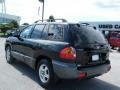 Hyundai Santa Fe GLS Black Obsidian photo #3 Hyundai Santa Fe GLS Black Obsidian photo #3