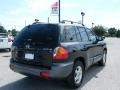 Hyundai Santa Fe GLS Black Obsidian photo #5 Hyundai Santa Fe GLS Black Obsidian photo #5