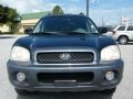 Hyundai Santa Fe GLS Black Obsidian photo #8 Hyundai Santa Fe GLS Black Obsidian photo #8