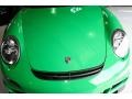 Porsche 911 GT3 RS Green/Black photo #20