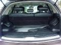Infiniti FX 35 Beryllium Metallic photo #8