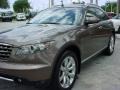 Infiniti FX 35 Beryllium Metallic photo #13