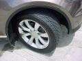 Infiniti FX 35 Beryllium Metallic photo #27