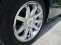 Chrysler 300 C HEMI Magnesium Pearl photo #25
