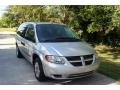 Dodge Grand Caravan SE Bright Silver Metallic photo #15