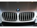 BMW X5 xDrive35d Titanium Silver Metallic photo #9