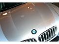 BMW X5 xDrive35d Titanium Silver Metallic photo #12