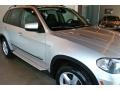 BMW X5 xDrive35d Titanium Silver Metallic photo #14